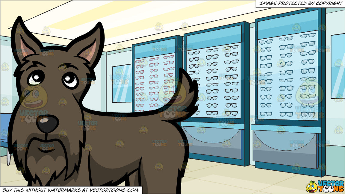 Discover Designer and Affordable Eyeglasses at Optical Shop - AM01