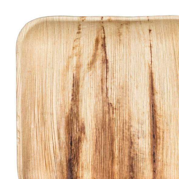 Get Sustainable and Stylish with <a href='/bagasse-plates/'>Bagasse Plates</a> | Shop BgreenToday's <a href='/eco-friendly/'>Eco-Friendly</a> Tableware Now!