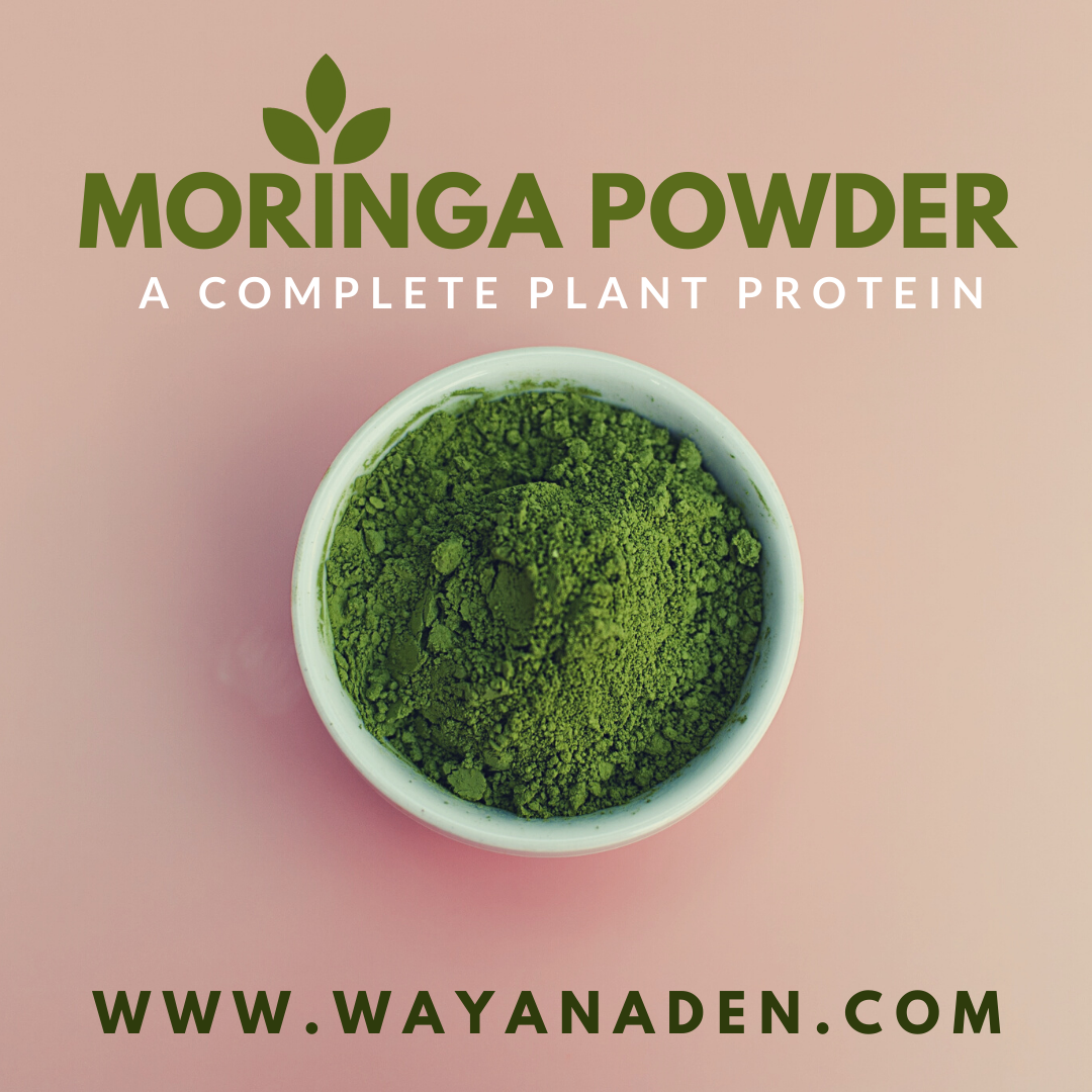 Moringa Powder Archives - Terry Exports