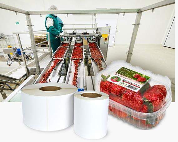Bopp Exporters & Bopp Suppliers - Page 6