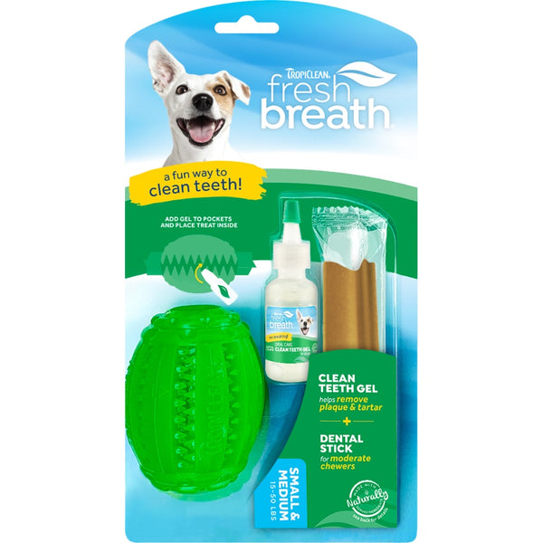 Fresh Breath Mint Stick Dental <a href='/cat-toy/'>Cat Toy</a>  Pawtners