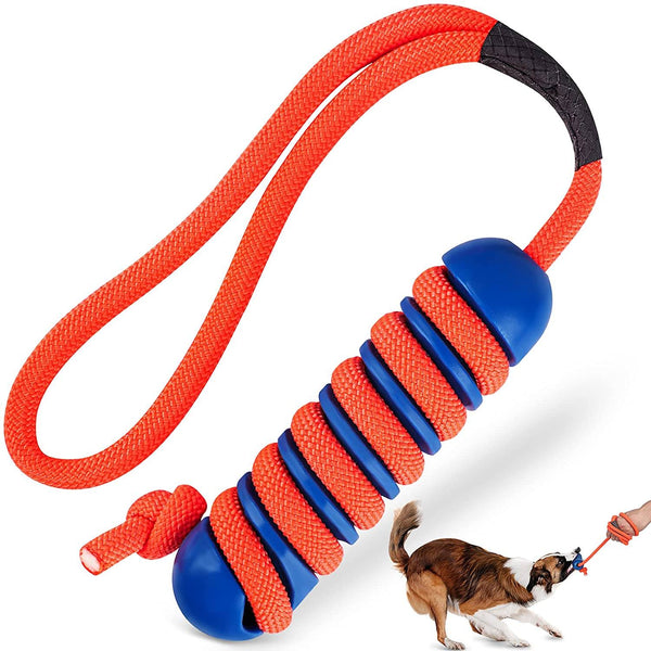 Dog Toys For Aggressive Chewers | POPSUGAR UK Pets