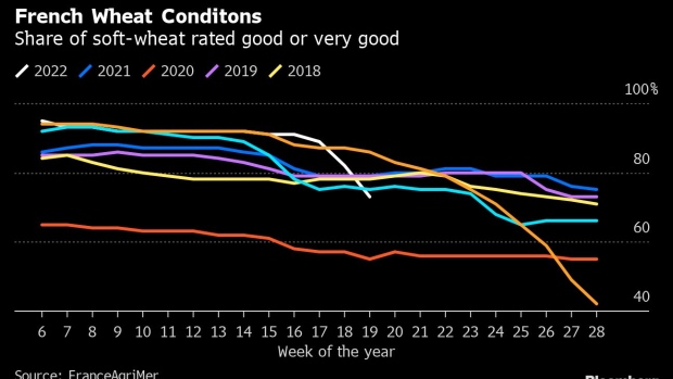 Wheat - The Roof Crop