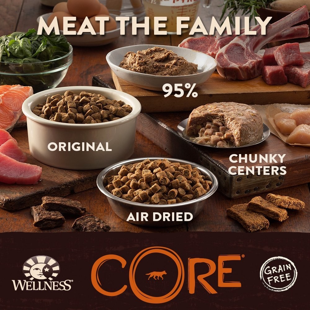 Wellness CORE Natural Grain Free Dry Dog Food, Wild Game Duck, Turkey, Boar & Rabbit, 4-Pound Bag  Pet Animals | Pet Supplies