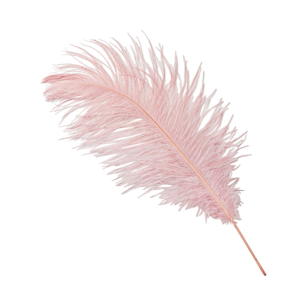 Ostrich Feather Centerpiece Kits | Feather Bouquet Holder
