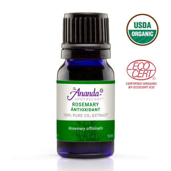Rosemary CO2 Extract Antioxidant, Oil Soluble - Becky's Bath Salts