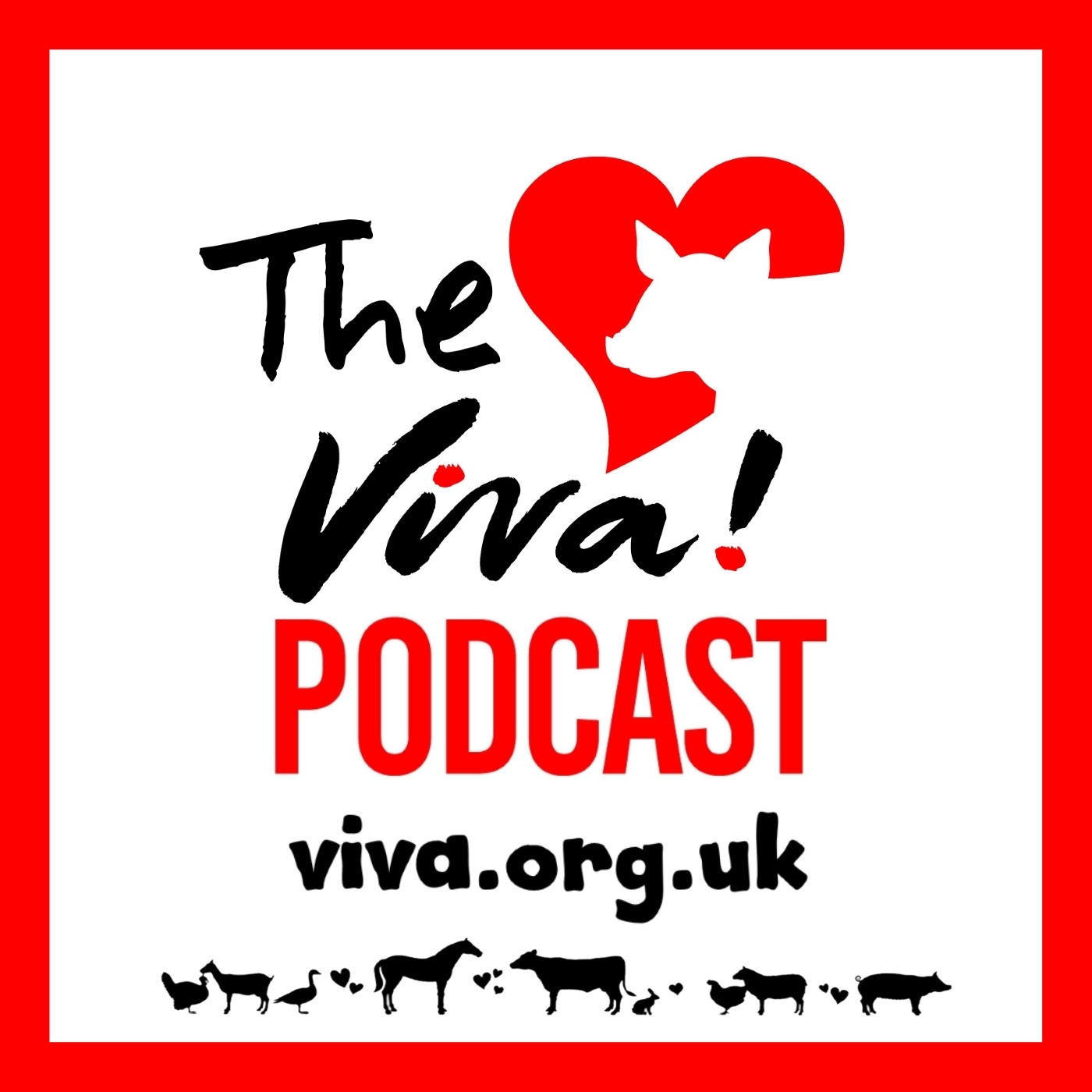 Broiler chickens | Viva! The Vegan Charity