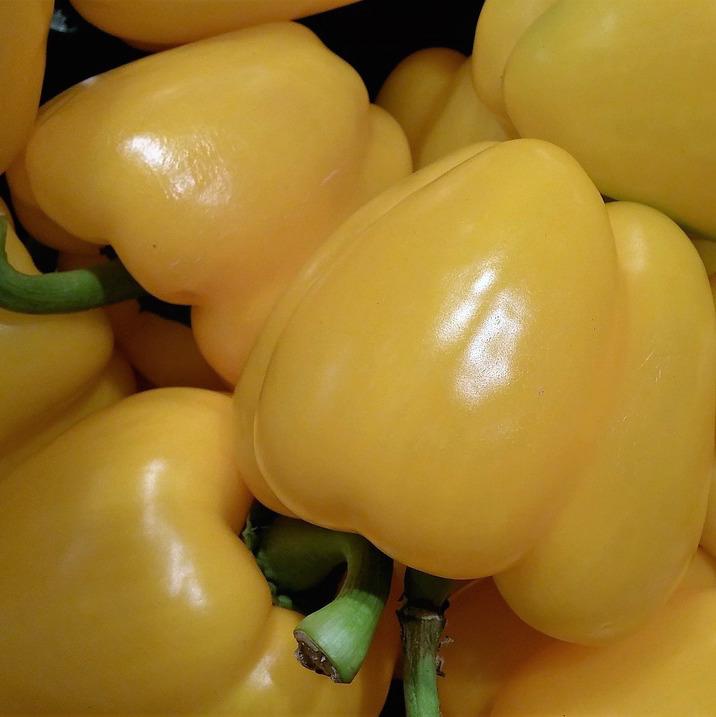 Wholesale Herbal Back Pain Relief Patches Capsicum Plaster | Kangdi