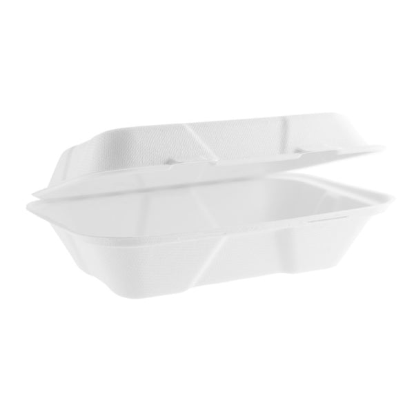 Container | DevEuro: <a href='/bagasse-tableware/'>Bagasse Tableware</a>