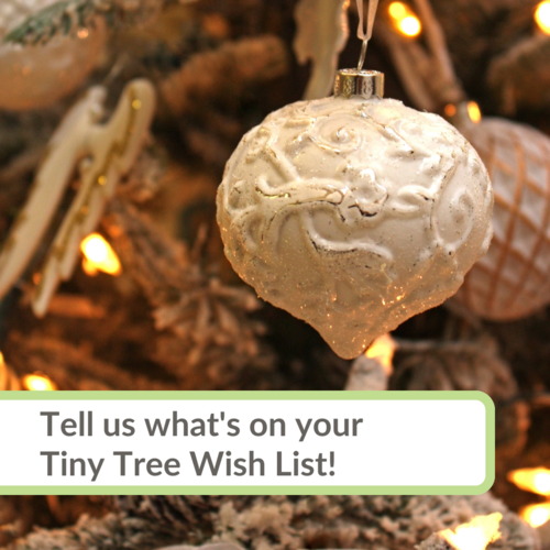 What to Put in a Memory Box Tiny Tree Wood Co.