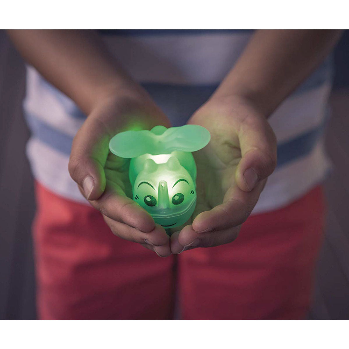 Tool Box | Chasing Fireflies