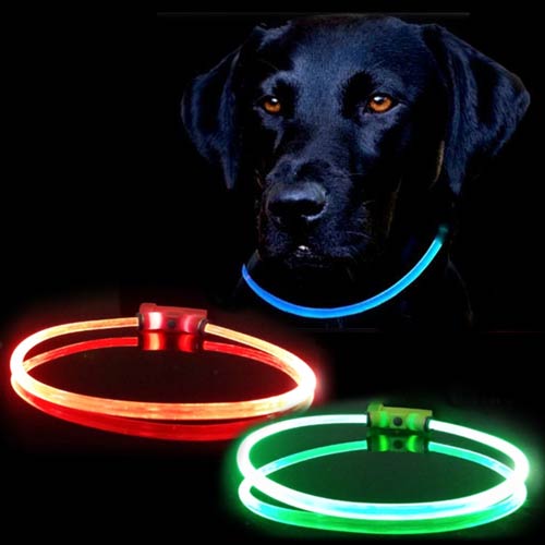 Safety Dog LED Collar Blinking Night Flashing Light Up Glow Adjustable Pets USA for Sale - Petpeoplesplace.com