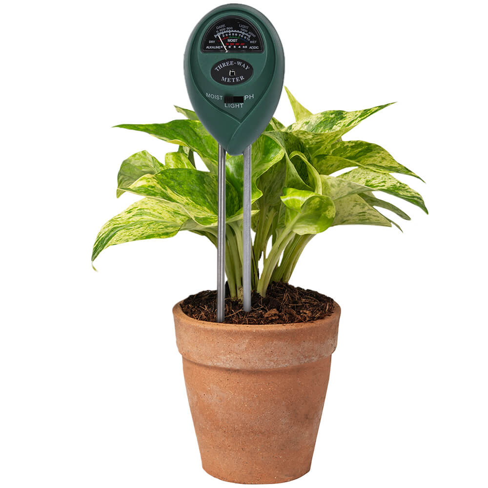 Soil Moisture Portable Meters | Edaphic Scientific