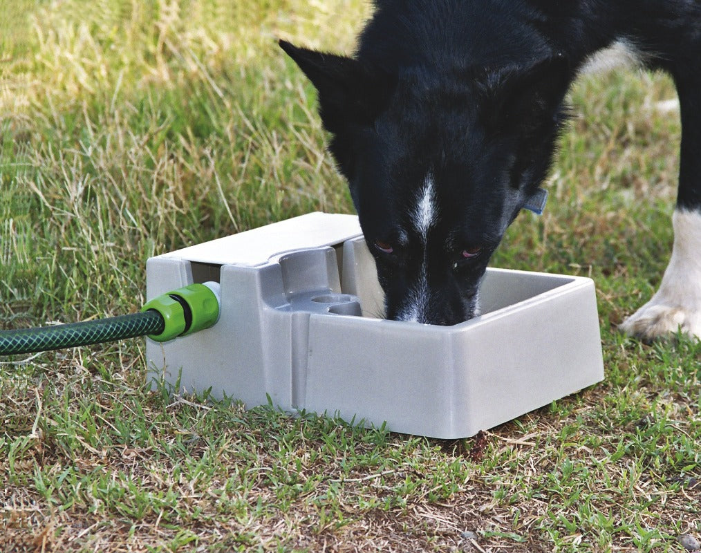Automatic Rabbit Waterers