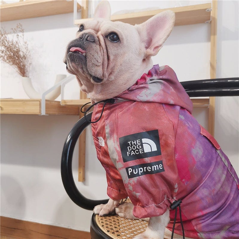 Fashion Pet Dog Raincoat For Small Dogs | <a href='/dog-rain-jacket/'>Dog Rain Jacket</a> With Hood $3.12 (REG $13.47) | Mojosavings.com