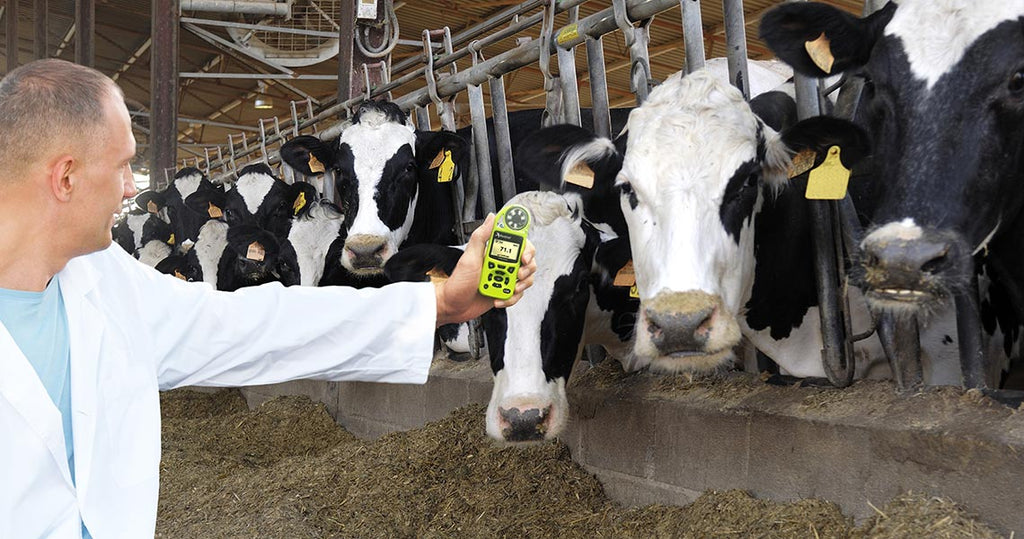 Pad cooling prevents heat stress livestock houses - Fanco