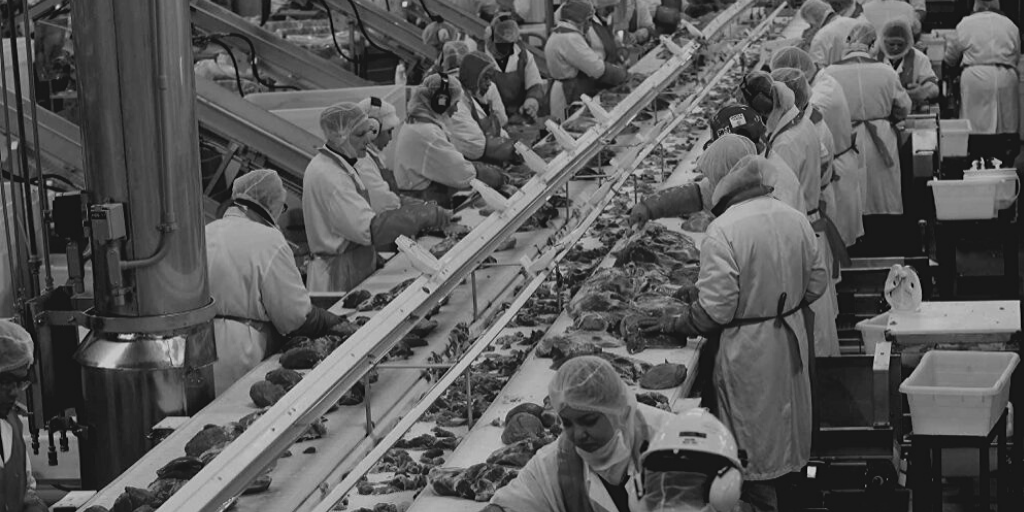 Production line