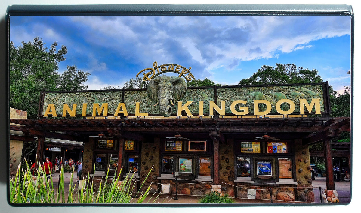 Hot Book Animal Kingdom