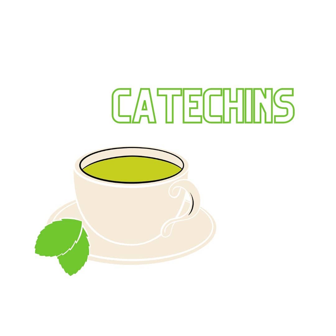 Catechins