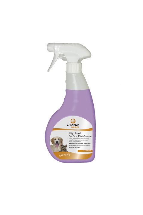 Vivo Lumio Germ-O-Phobe High Level Hard Surface <a href='/disinfectant/'>Disinfectant</a> - Keeping It Together