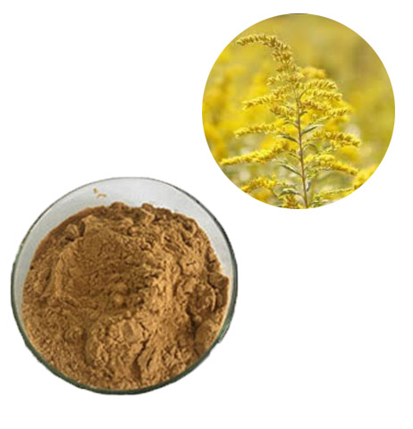 98% Andrographis Paniculata Supplement Powder Anti Cancer With HPLC Test