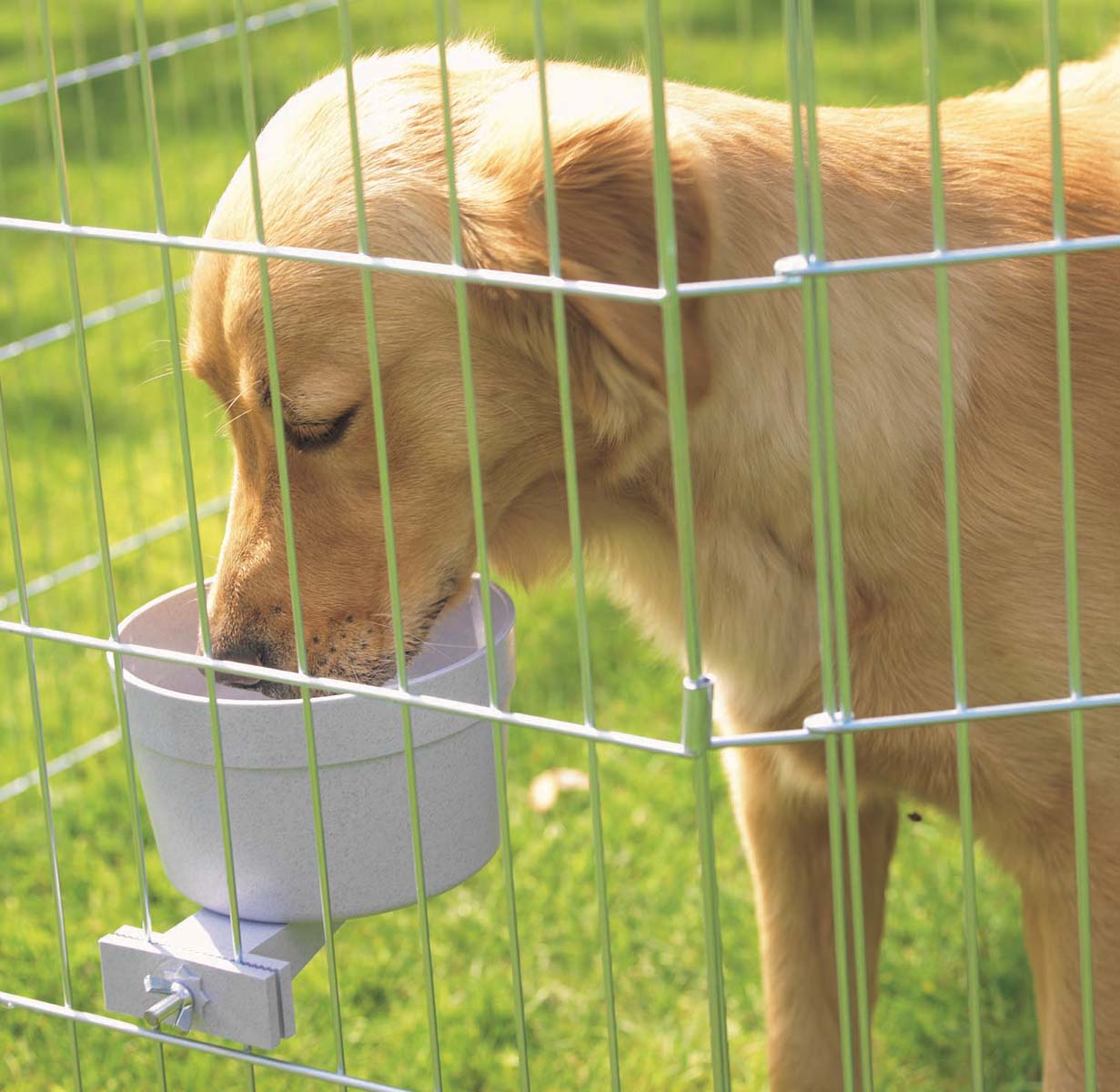 Dog Cages - Arrows-UK