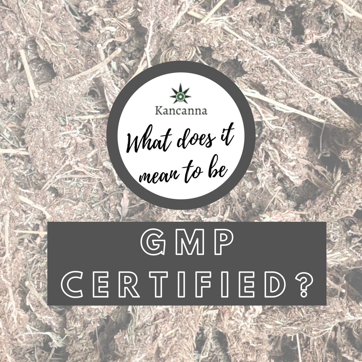 Benfotiamine | Compare GMP certified manufacturers