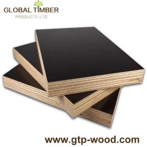 18mm PP Polypropylene Plastic Film Faced Plywood for Concrete Form