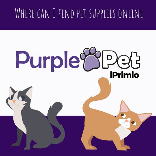 Clothing & Accessories | Dog and Pet supplies Dogs.co.uk