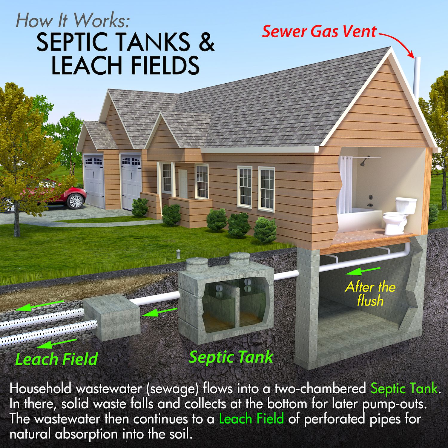 Can small amounts of food in your disposal harm your septic system? Experts answer on Ask MetaFilter