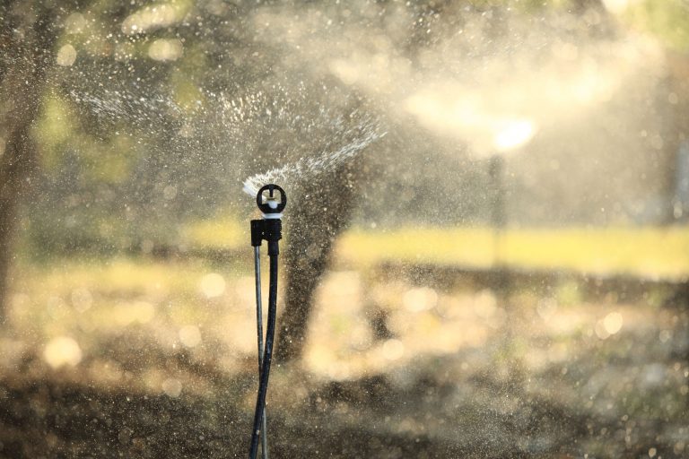 Discover the Benefits of Netafim's Sprinkler Irrigation Systems for Your Agricultural Needs