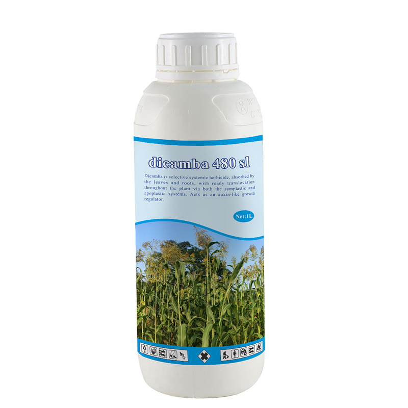 Agriculture Agrochemical <a href='/chemical-herbicide/'>Chemical Herbicide</a> Weed Killer CAS 1918-00-9 Mediben/Dicamba 48% SL