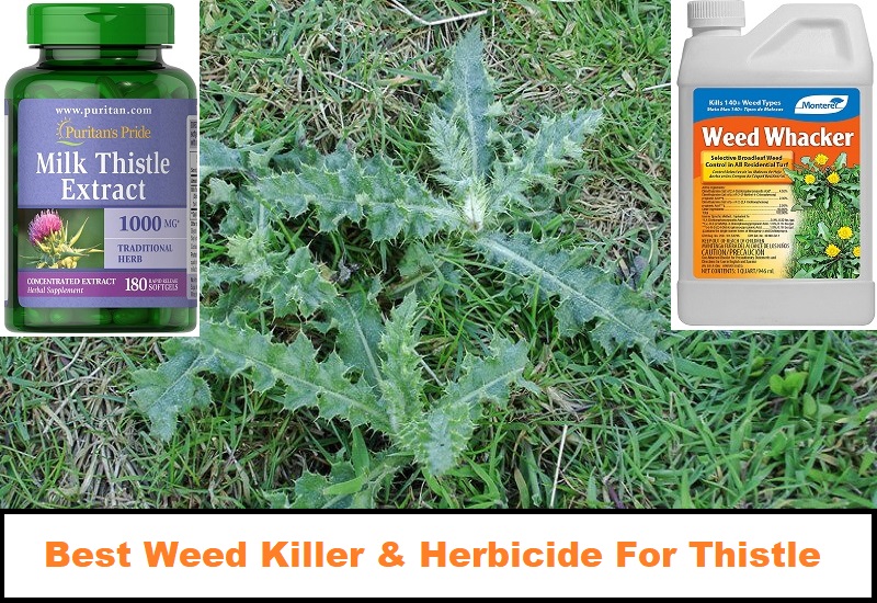 <a href='/herbicide/'>Herbicide</a> Review