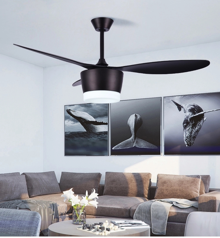 Depuley Ceiling Fan with Led Lights, 20'' Modern Ceiling Fan with Remo
 depuley