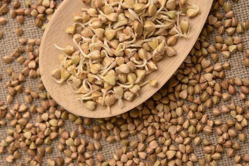 Blog - Buckwheat: Natural Weight Loss Food