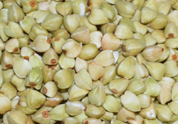 Buckwheat kernel