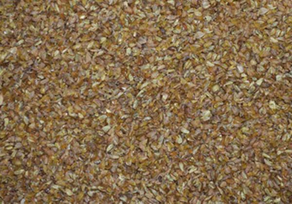 Tartary buckwheat kernel