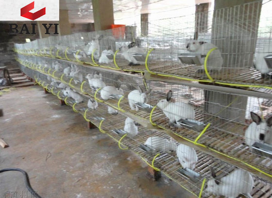 Wire Mesh Rabbit Cages for Rabbit Farm(id:10103461). Buy China rabbit cage, Rabbit farming cage, Commercial rabbit cage - EC21