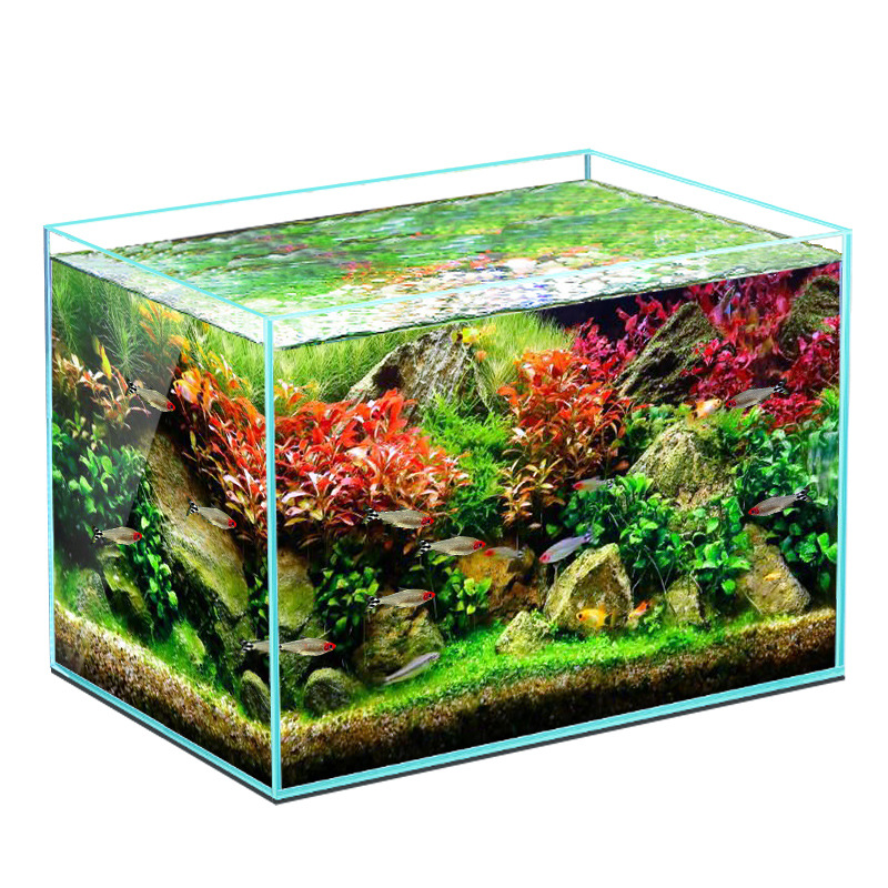 Hot selling rectangular ecological small fish tank ultra white glass 5mm glass aquarium