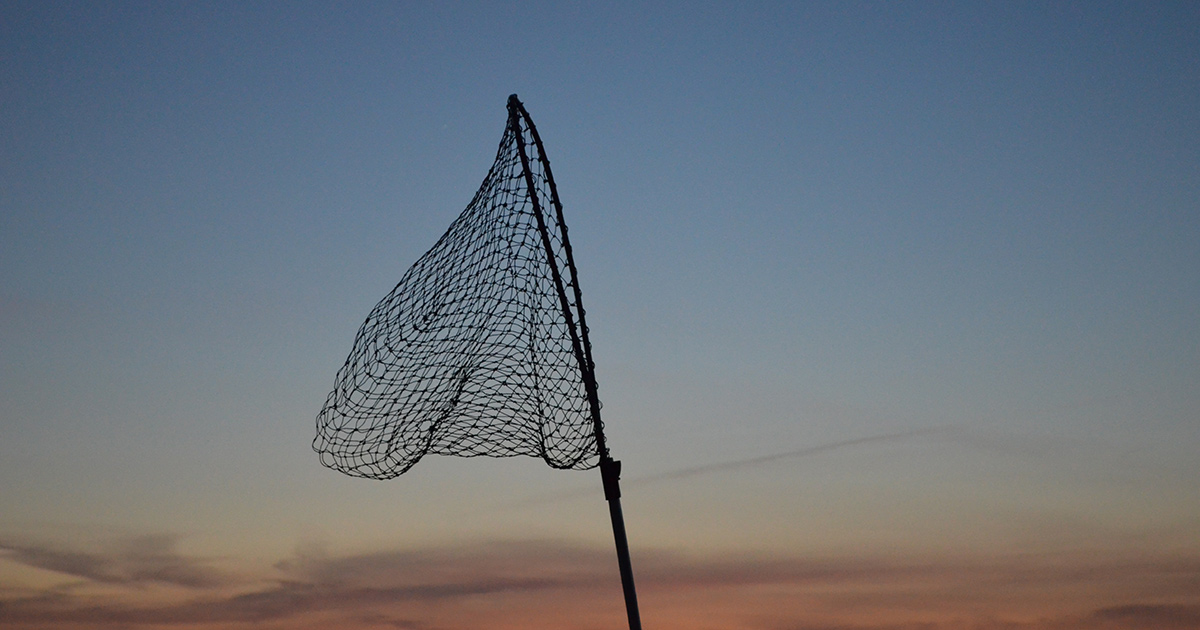 Folding Fish Trap | Fishing Net | Collapsible Cast Mesh Landing <a href='/bait-net/'>Bait Net</a> ForJ4P1  | eBay