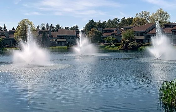 Silicone Sealant at The Pond Guy