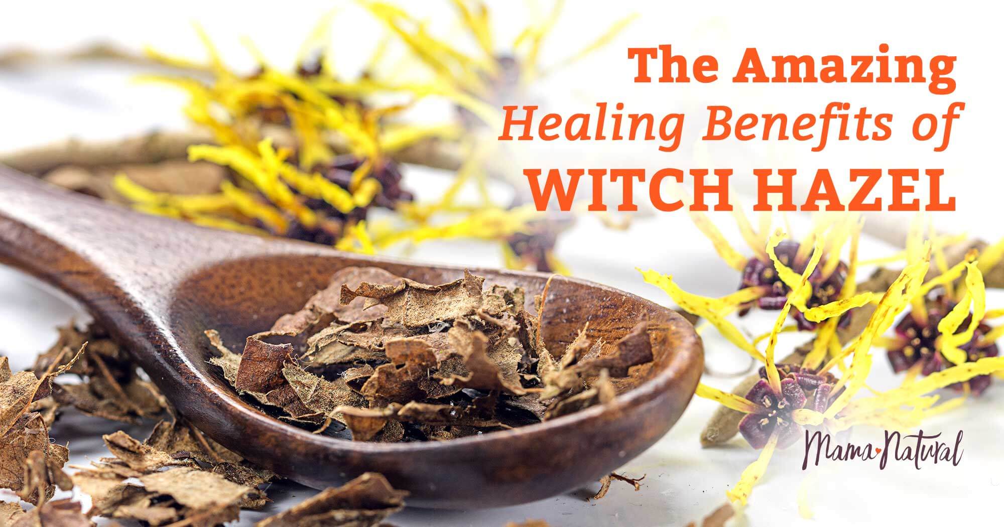 Shop Online for Witch Hazel Organic Powder in Australia