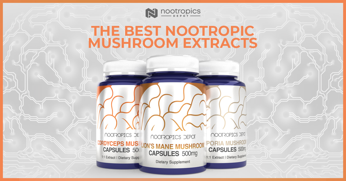 Artichoke Extract Powder (2.5%) - Nootropic Source