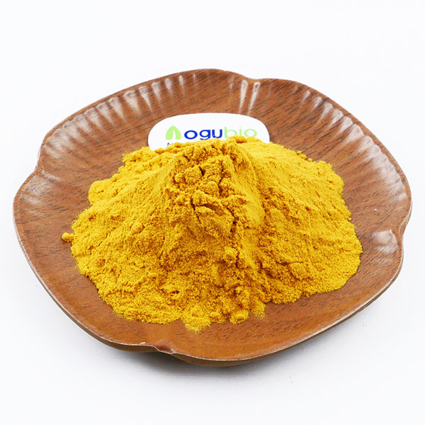 Factory-direct Butcher's Broom Extract Powder | Premium Quality