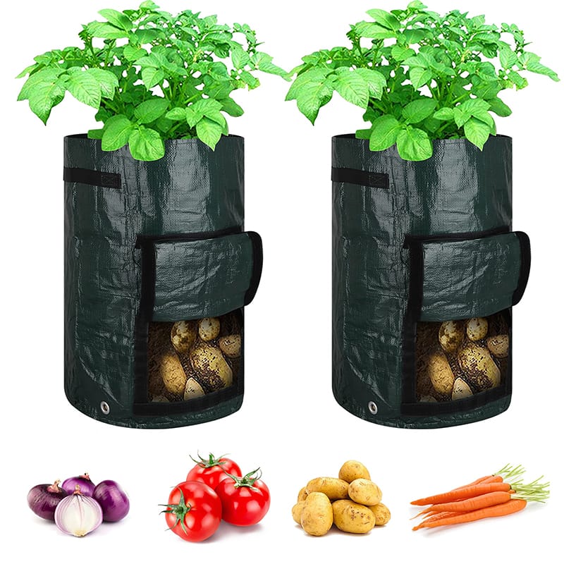 Factory Direct Cold-Proof Growing Bags - Durable Non-Woven & Plastic Material for Agriculture | Anti-Freeze Solution