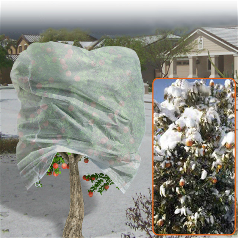 Factory-Direct Tree Cover Non-Woven Bag for Fruit Trees - Protect and Preserve Your Harvest | [Company Name]