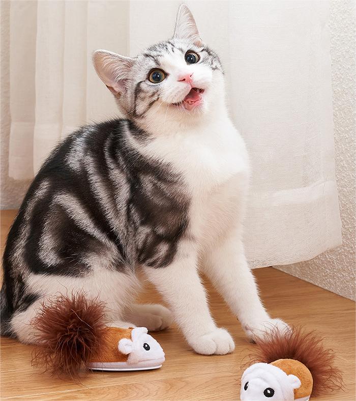 9 Amazon Deals on Cat Toys to Shop Now