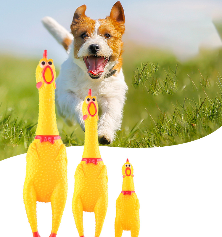 Large chicken screaming pet dog molar teeth cleaning pet chew toys