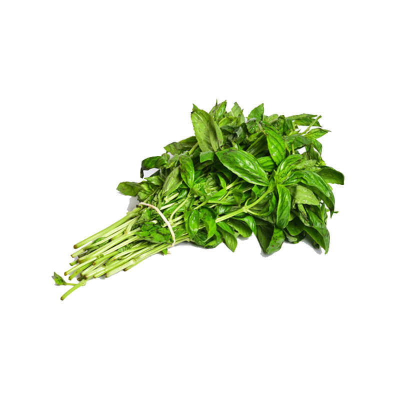 Factory Direct: Frozen & Fresh <a href='/basil/'>Basil</a> Puree for Gourmet Dishes