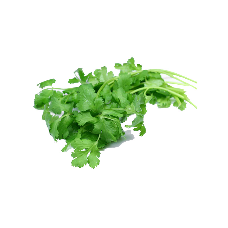 Frozen & Healthy <a href='/coriander/'>Coriander</a> Puree – Premium Factory Direct Quality